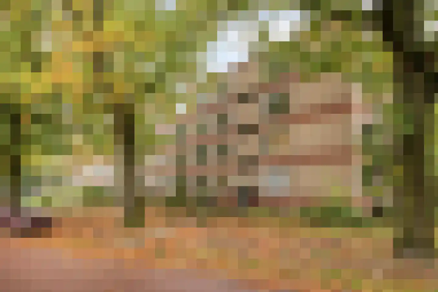 Oude Molenweg 287 Nijmegen thumbnail 28