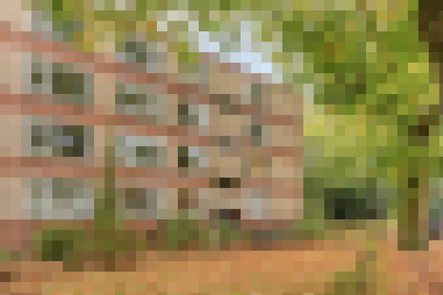 Oude Molenweg 287 Nijmegen thumbnail 6