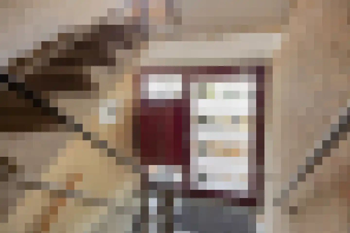 Oude Molenweg 287 Nijmegen thumbnail 8