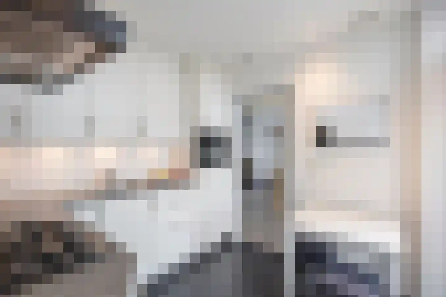 Oude Molenweg 3 Echt thumbnail 25