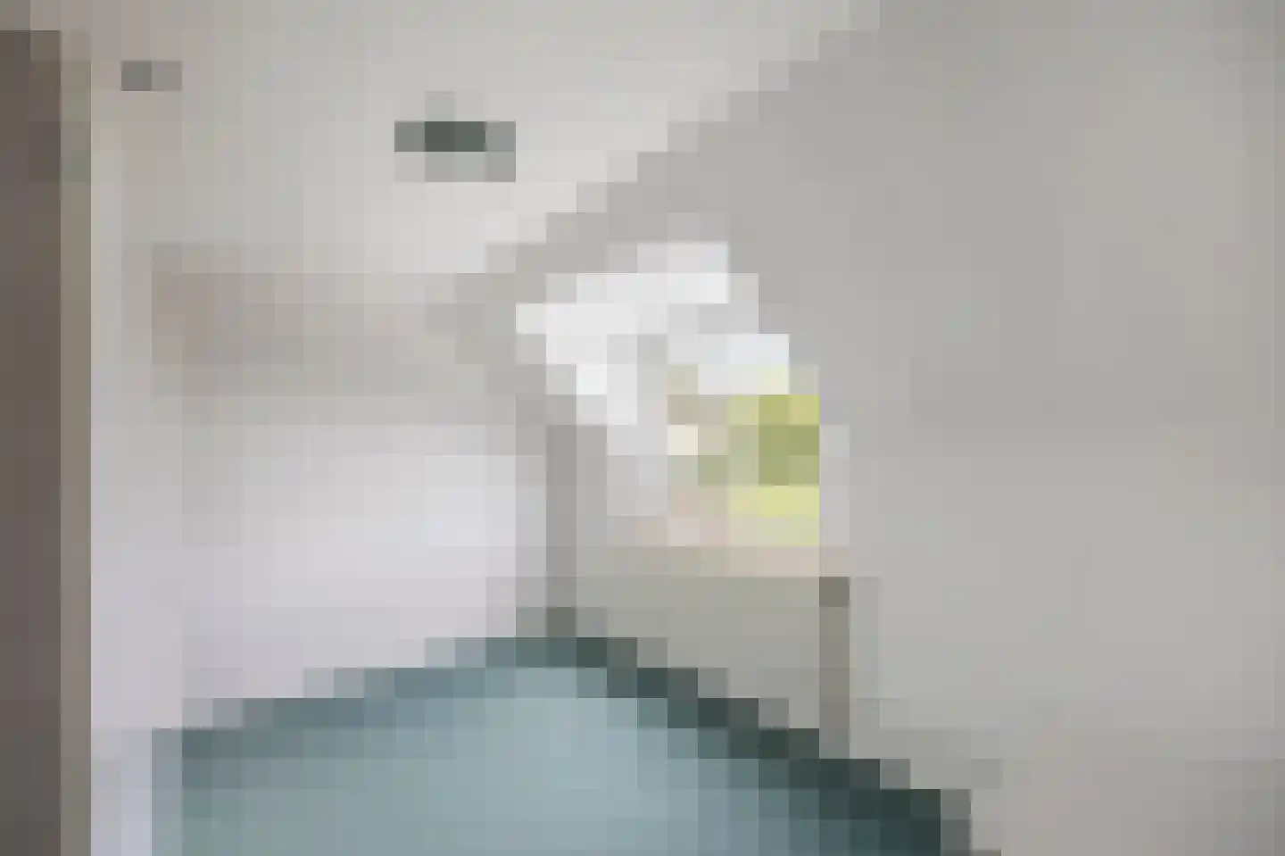 Oude Molenweg 3 Echt thumbnail 36