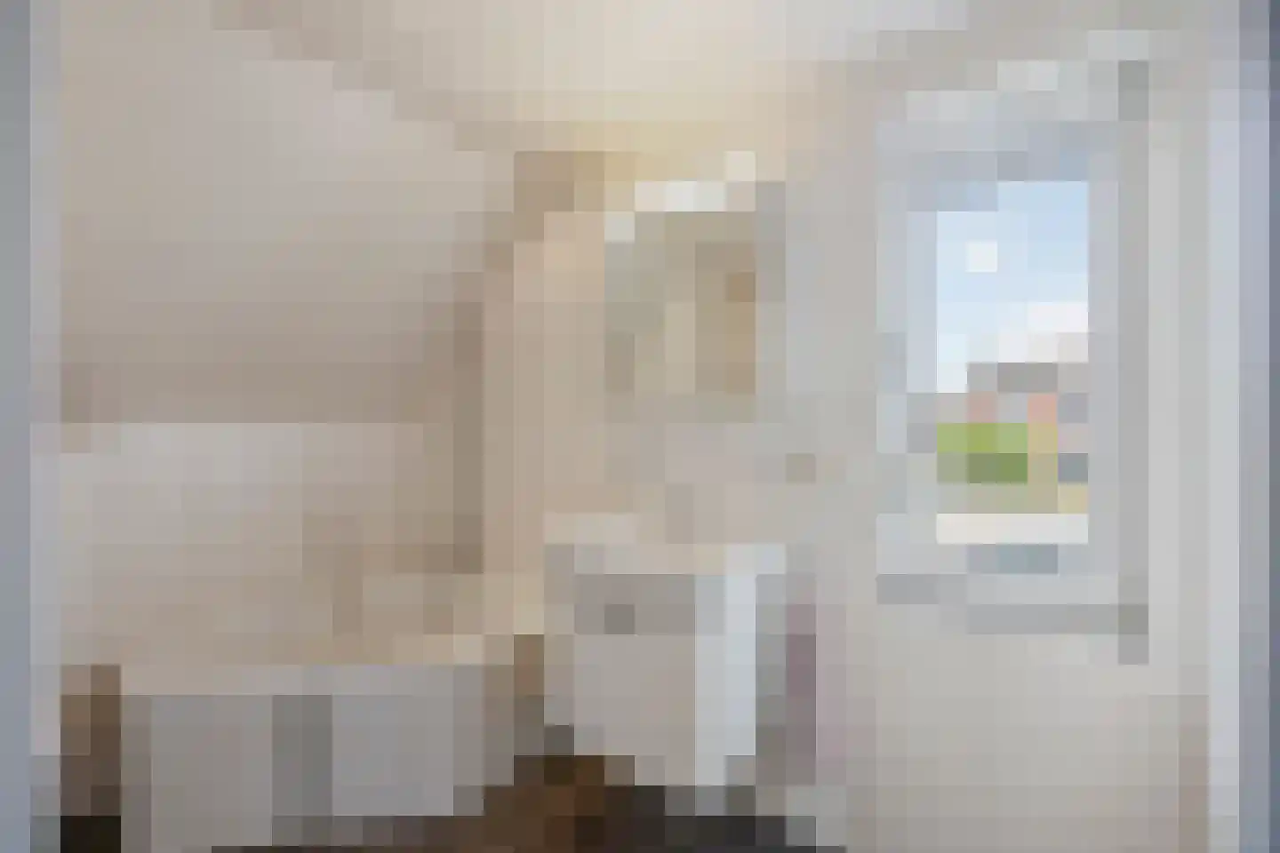 Oude Molenweg 3 Echt thumbnail 40