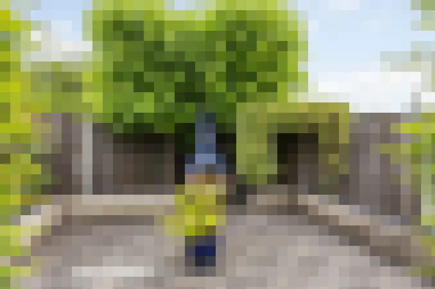 Oude Molenweg 3 Echt thumbnail 45