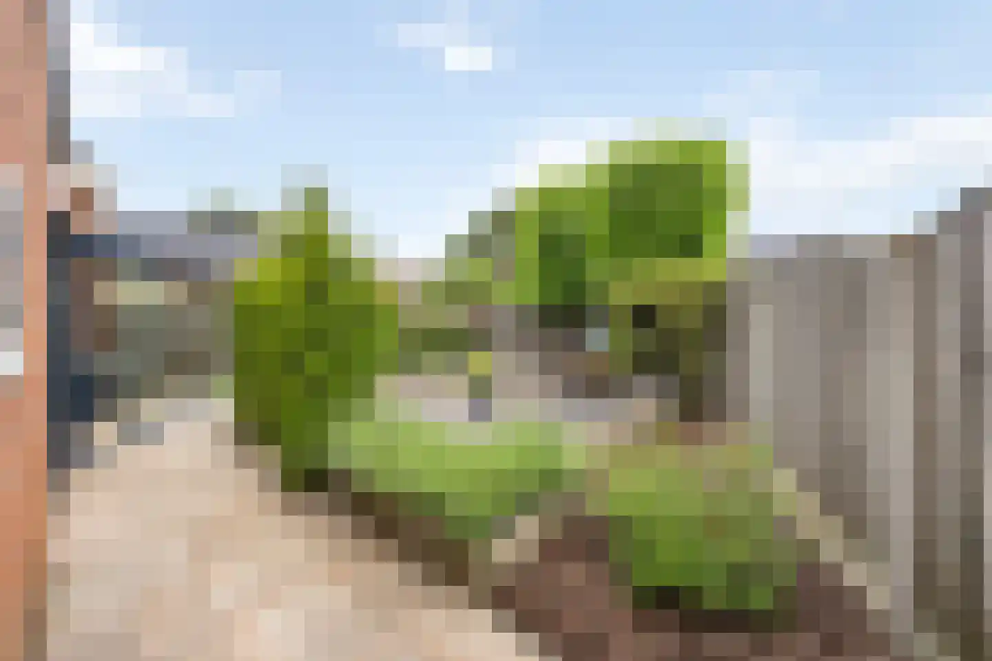 Oude Molenweg 3 Echt thumbnail 49