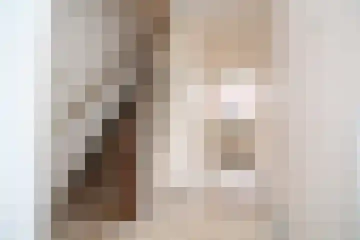 Oude Molenweg 34 Raalte thumbnail 10