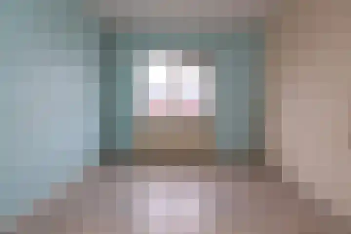 Oude Molenweg 34 Raalte thumbnail 12