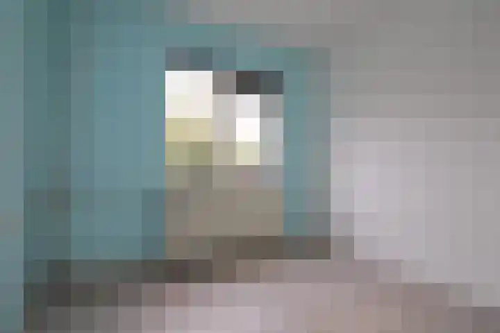 Oude Molenweg 34 Raalte thumbnail 14