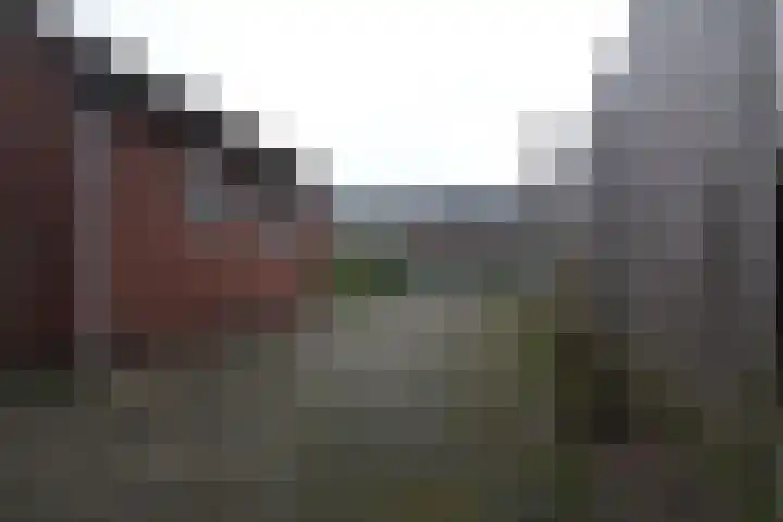 Oude Molenweg 34 Raalte thumbnail 17