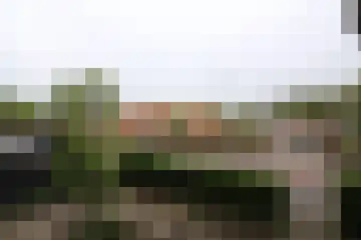Oude Molenweg 34 Raalte thumbnail 18