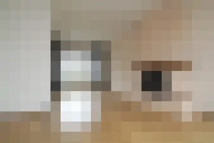 Oude Molenweg 34 Raalte thumbnail 4