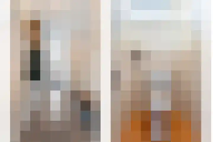 Oude Molenweg 36 Raalte thumbnail 10