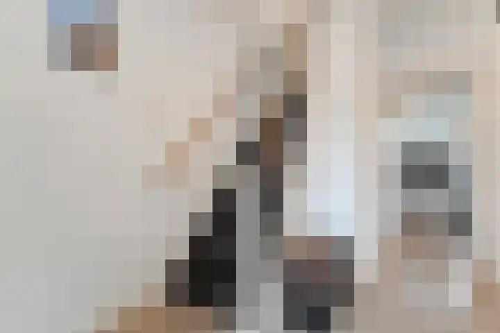 Oude Molenweg 36 Raalte thumbnail 11