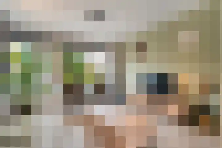 Oude Molenweg 36 Raalte thumbnail 17