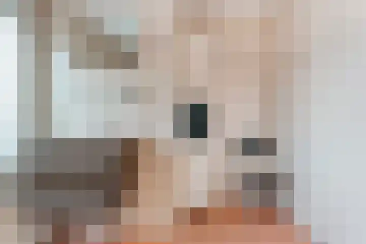 Oude Molenweg 36 Raalte thumbnail 31