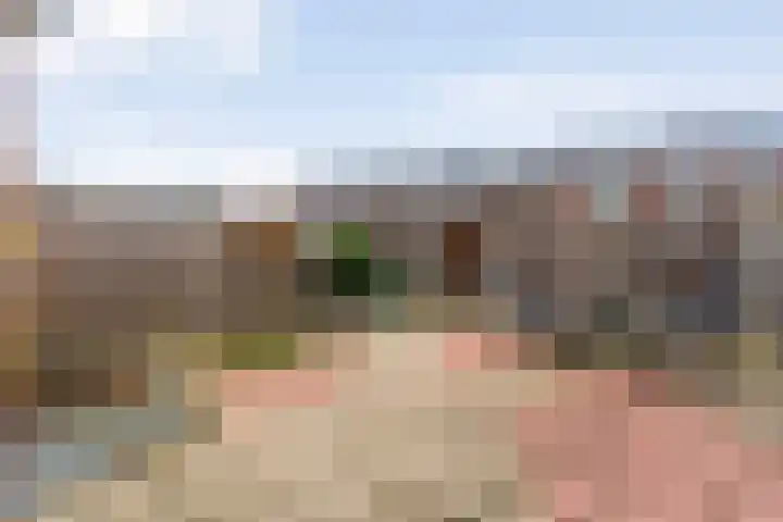 Oude Molenweg 36 Raalte thumbnail 37