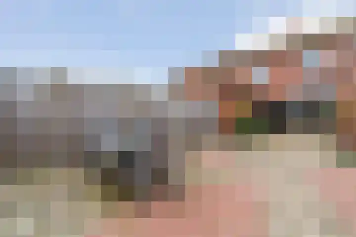 Oude Molenweg 36 Raalte thumbnail 39