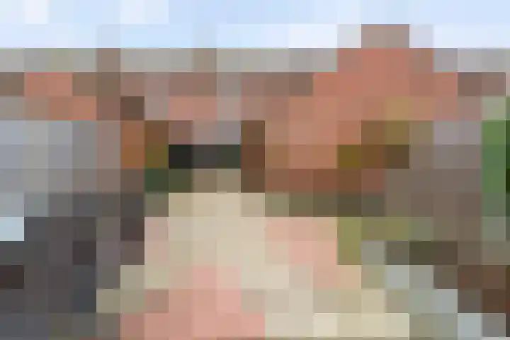 Oude Molenweg 36 Raalte thumbnail 40