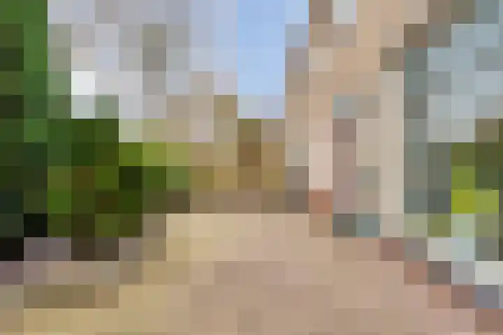 Oude Molenweg 36 Raalte thumbnail 8