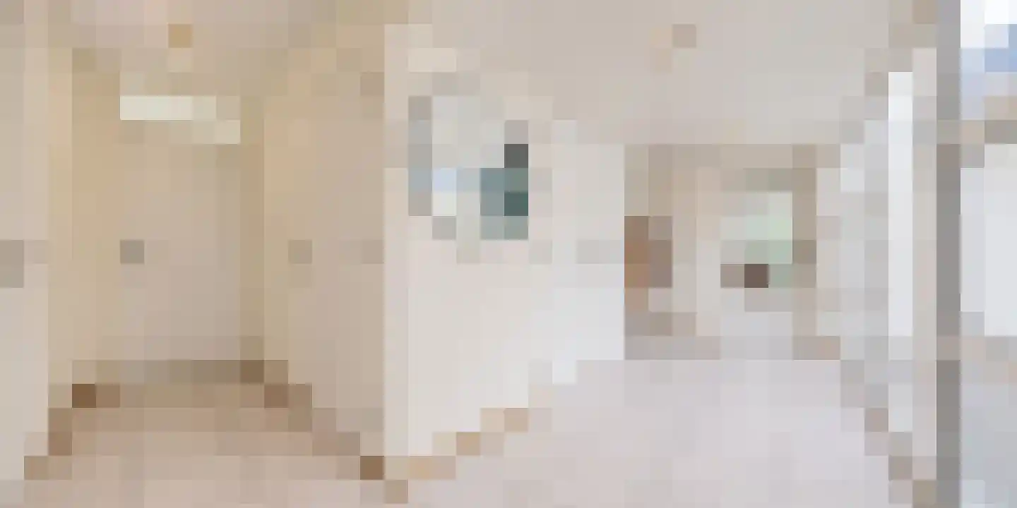 Oude Molenweg 37 Maastricht thumbnail 9