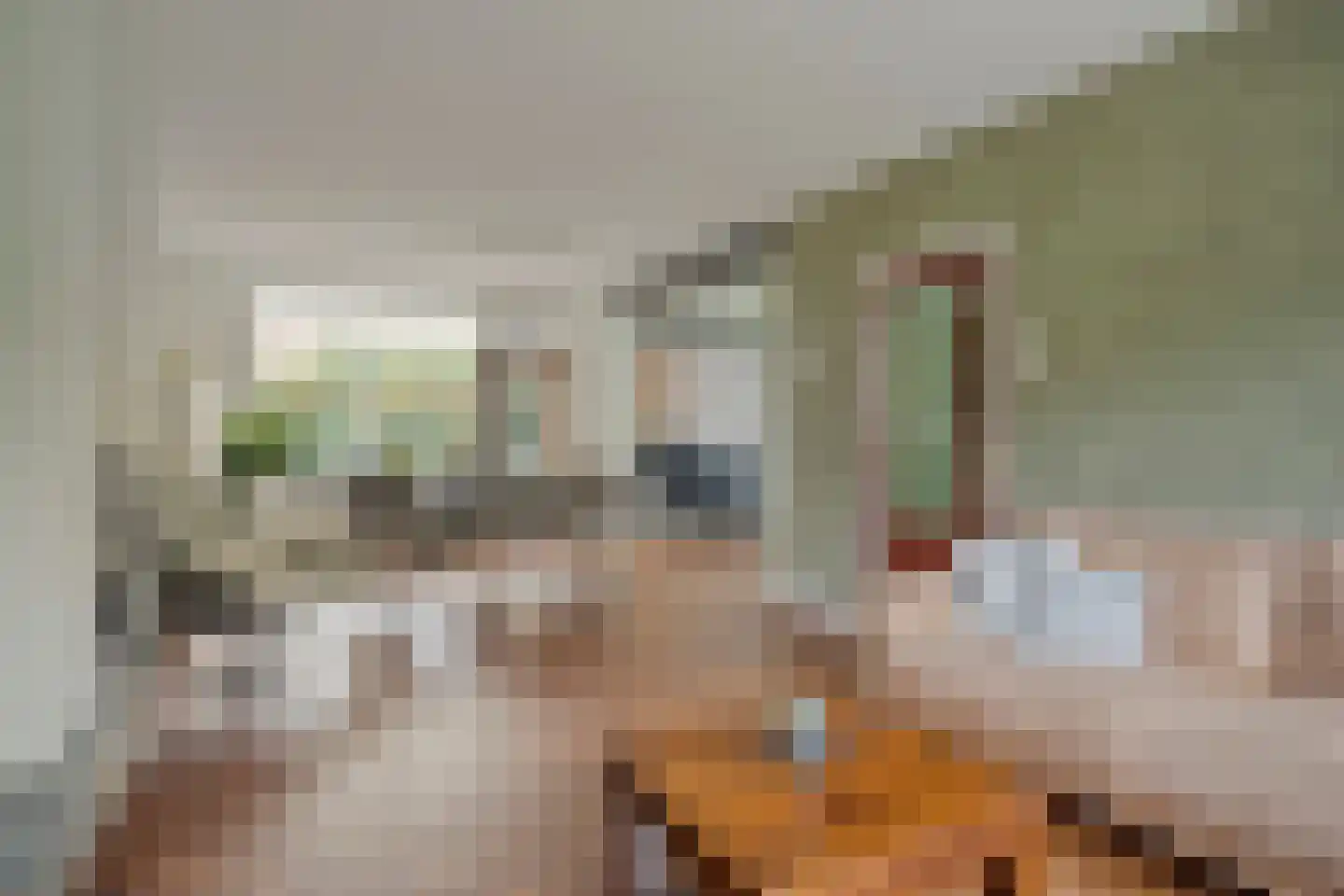 Oude Molenweg 40 Maastricht thumbnail 9