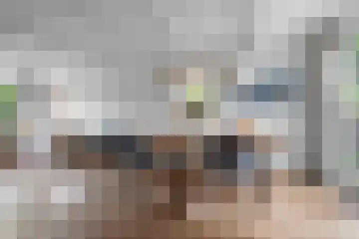 Oude Molenweg 47 Nijmegen thumbnail 12