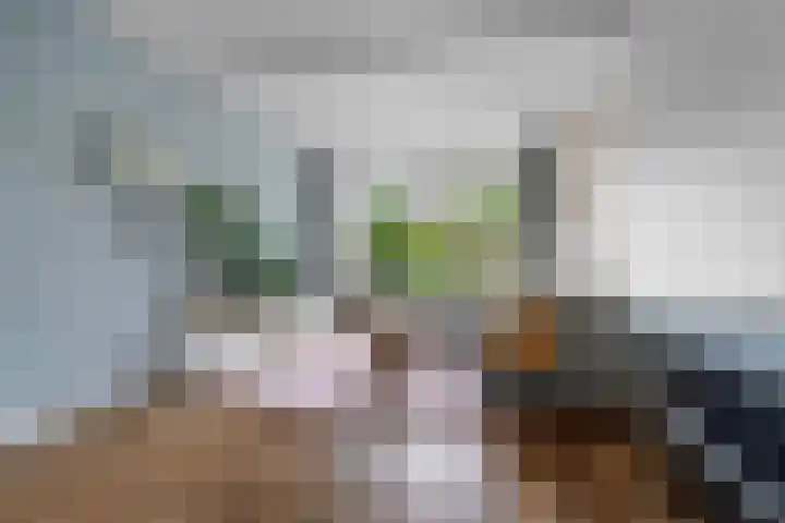 Oude Molenweg 47 Nijmegen thumbnail 20
