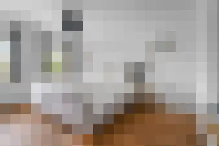 Oude Molenweg 47 Nijmegen thumbnail 31