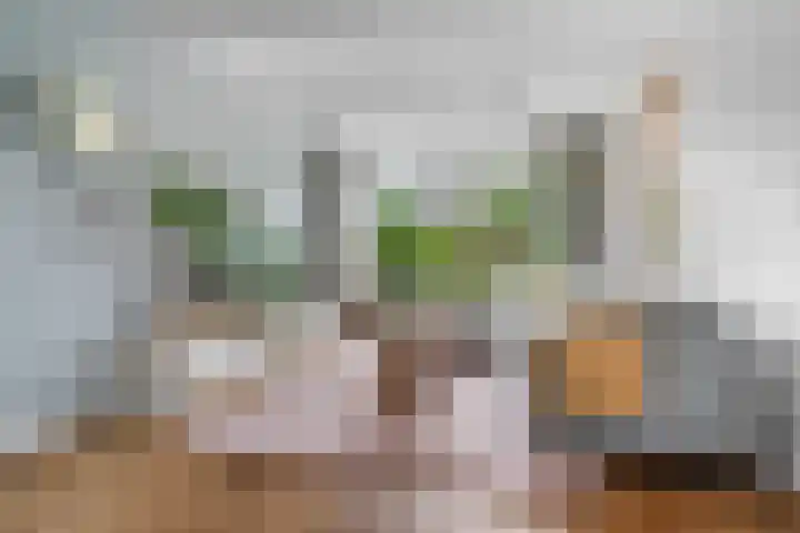 Oude Molenweg 47 Nijmegen thumbnail 4