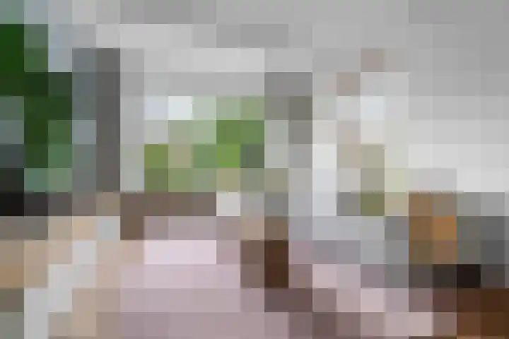 Oude Molenweg 47 Nijmegen thumbnail 5