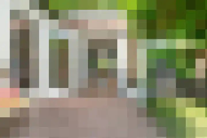 Oude Molenweg 47 Nijmegen thumbnail 50