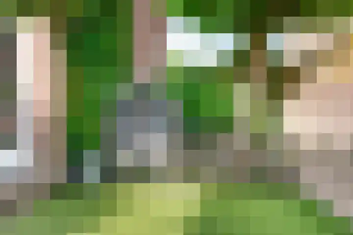 Oude Molenweg 47 Nijmegen thumbnail 53