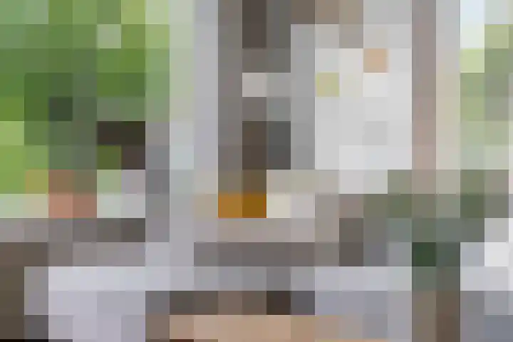 Oude Molenweg 47 Nijmegen thumbnail 6