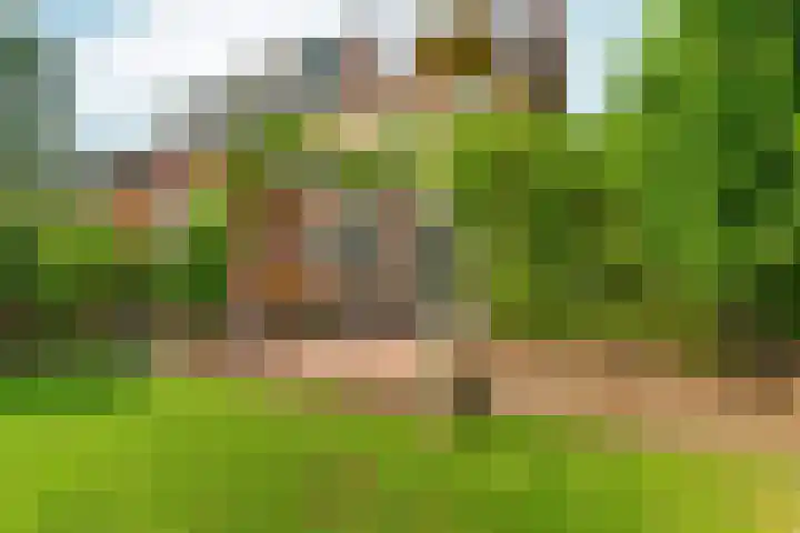 Oude Molenweg 47 Nijmegen thumbnail 60