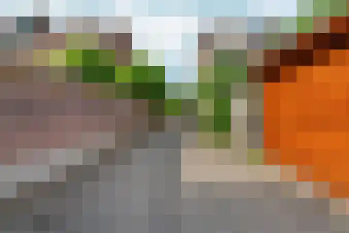 Oude Molenweg 47 Nijmegen thumbnail 62