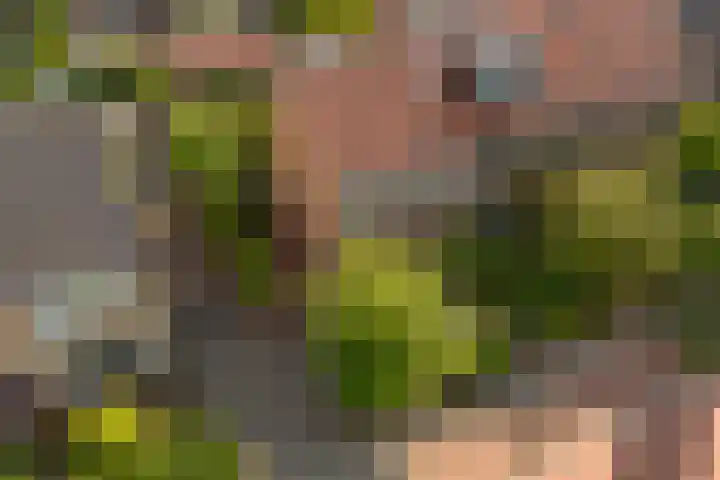 Oude Molenweg 47 Nijmegen thumbnail 66