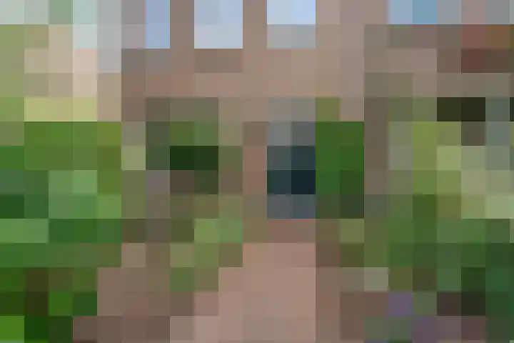 Oude Molenweg 47 Nijmegen thumbnail 68