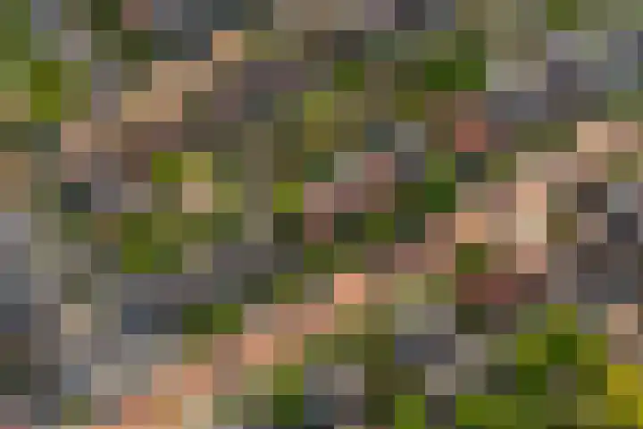 Oude Molenweg 47 Nijmegen thumbnail 71