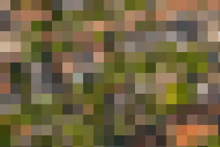 Oude Molenweg 47 Nijmegen thumbnail 74