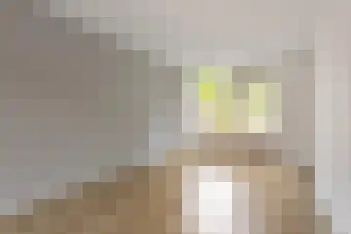 Oude Molenweg 48 Heerlen thumbnail 11