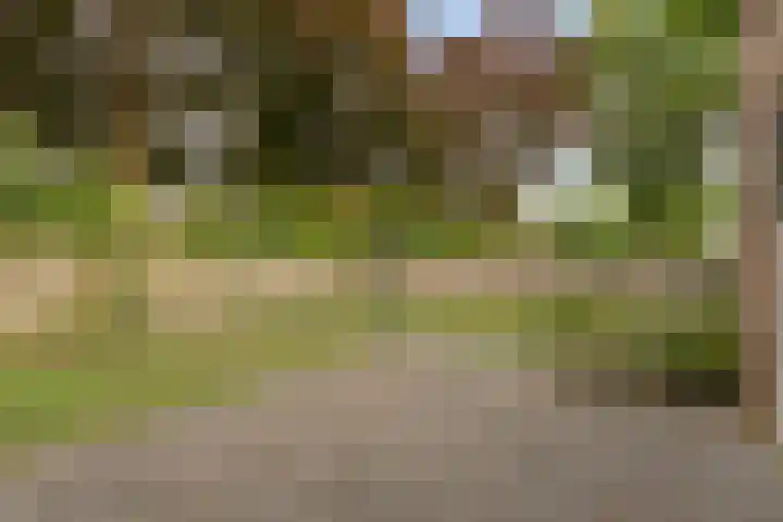 Oude Molenweg 48 Heerlen thumbnail 27