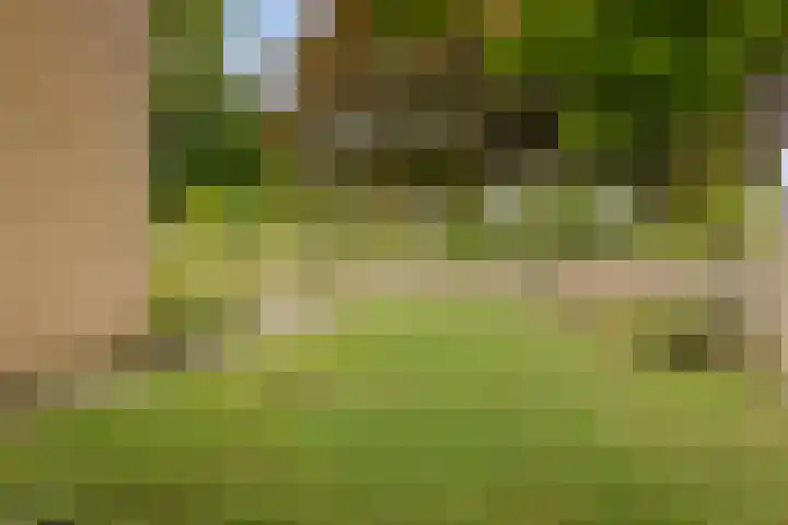Oude Molenweg 48 Heerlen thumbnail 30
