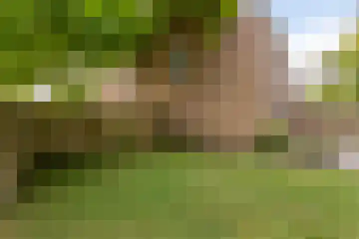 Oude Molenweg 48 Heerlen thumbnail 31