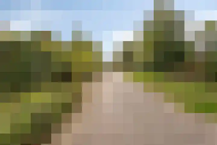 Oude Molenweg 48 Heerlen thumbnail 33
