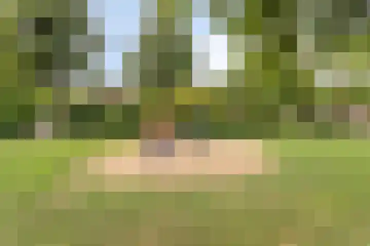 Oude Molenweg 48 Heerlen thumbnail 35