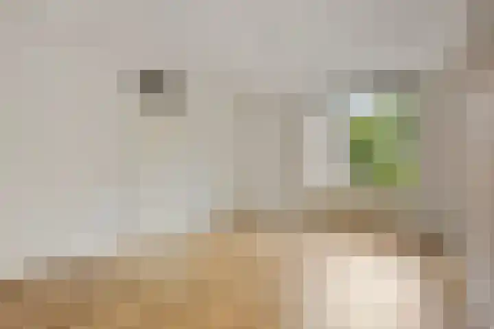 Oude Molenweg 48 Heerlen thumbnail 8