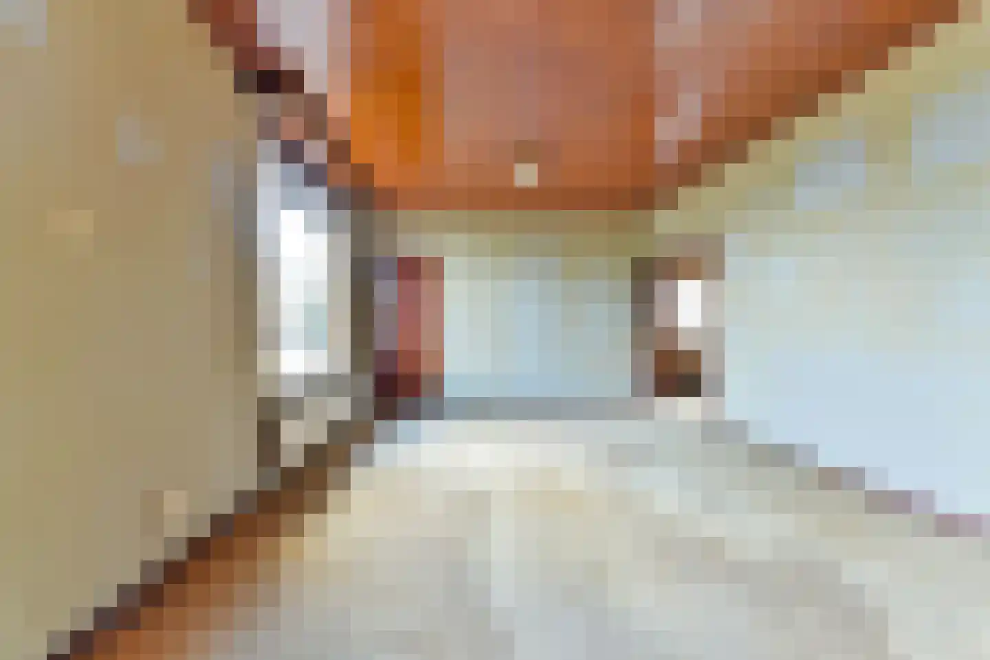 Oude Molenweg 8 a Doorn thumbnail 12