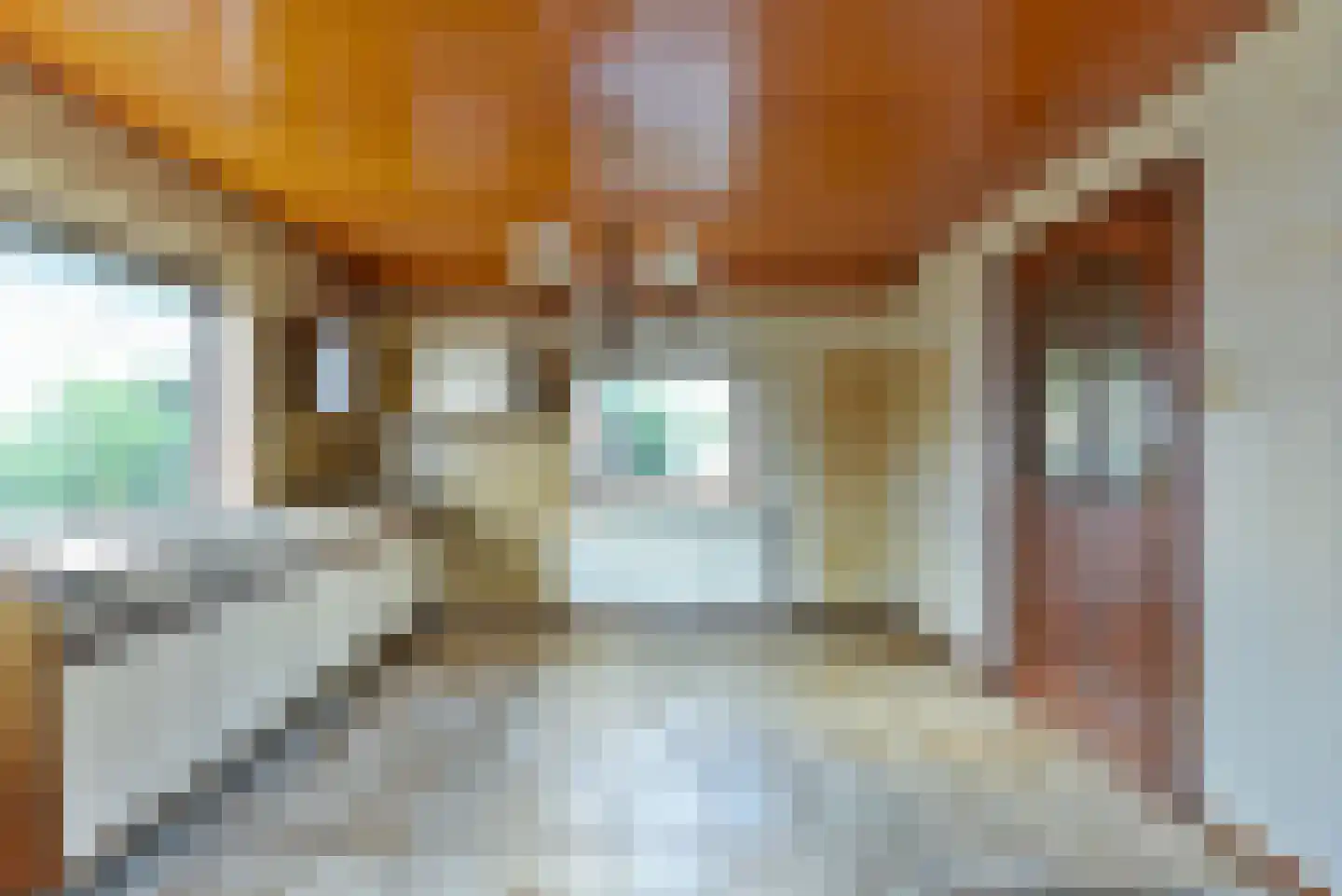 Oude Molenweg 8 a Doorn thumbnail 14