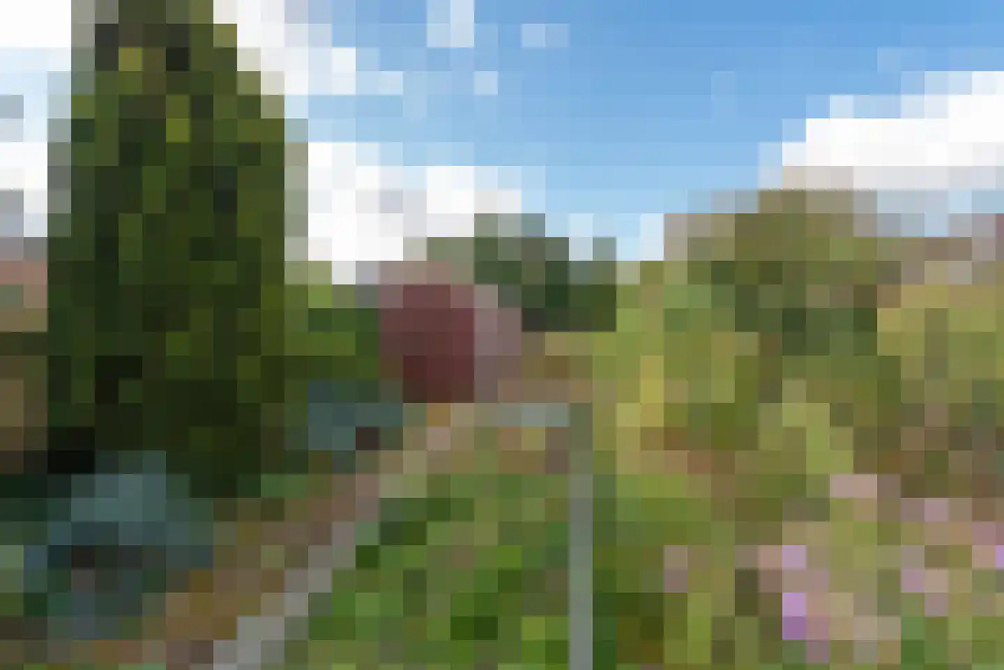 Oude Molenweg 8 a Doorn thumbnail 26
