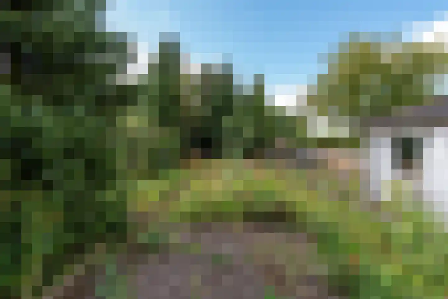 Oude Molenweg 8 a Doorn thumbnail 27