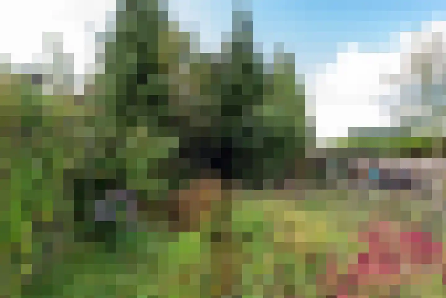 Oude Molenweg 8 a Doorn thumbnail 28